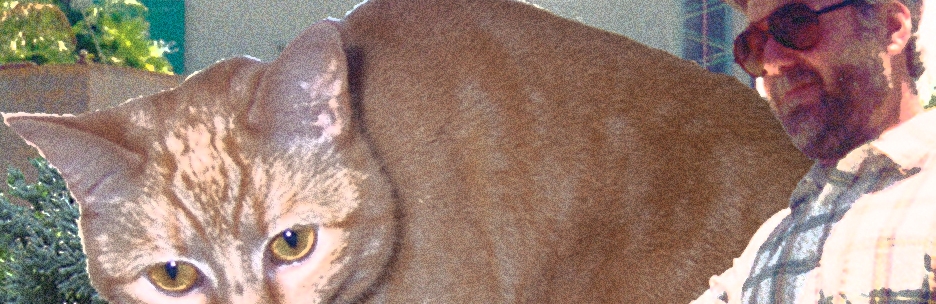 1996